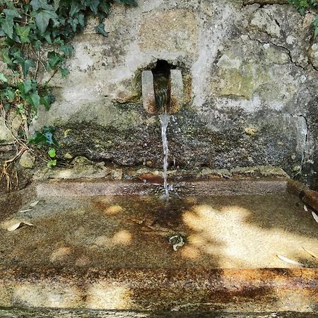Fernandes House Apartment Paredes de Coura Luaran gambar